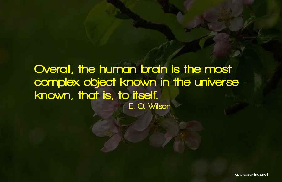 Yadao Jewelry Quotes By E. O. Wilson Yadao Jewelry Quotes By E. O. Wilson
