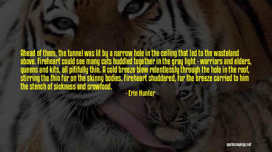Yaegaki Jinja Quotes By Erin Hunter Yaegaki Jinja Quotes By Erin Hunter