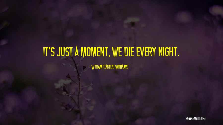Yael Aros Siret Willa Quotes By William Carlos Williams Yael Aros Siret Willa Quotes By William Carlos Williams