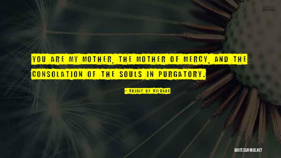 Yaguaraparo Quotes By Brigit Of Kildare Yaguaraparo Quotes By Brigit Of Kildare