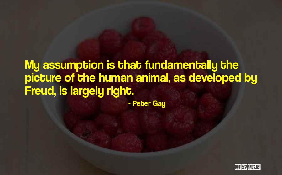 Yahiro Quotes By Peter Gay Yahiro Quotes By Peter Gay
