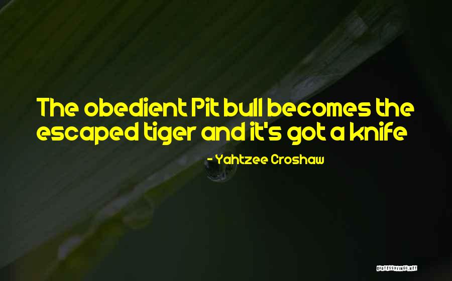 Yahtzee Croshaw Quotes 2129870 Yahtzee Croshaw Quotes 2129870