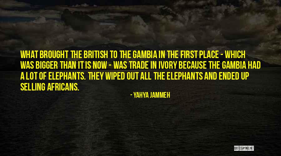 Yahya Jammeh Quotes 1727721