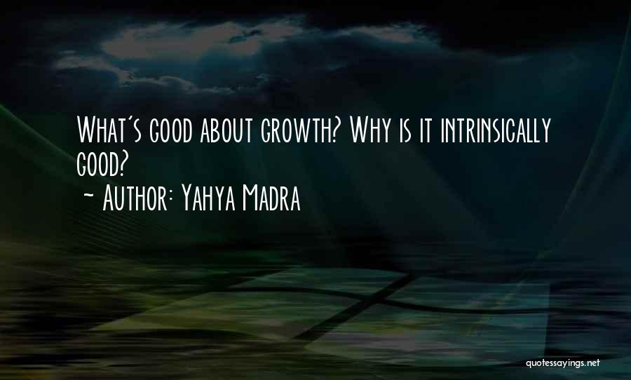 Yahya Madra Quotes 479543