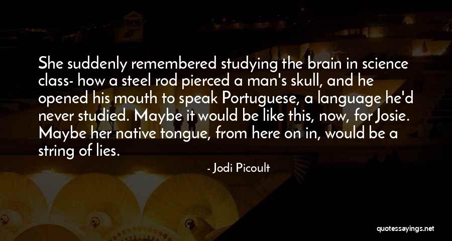 Yaiche Taha Quotes By Jodi Picoult Yaiche Taha Quotes By Jodi Picoult