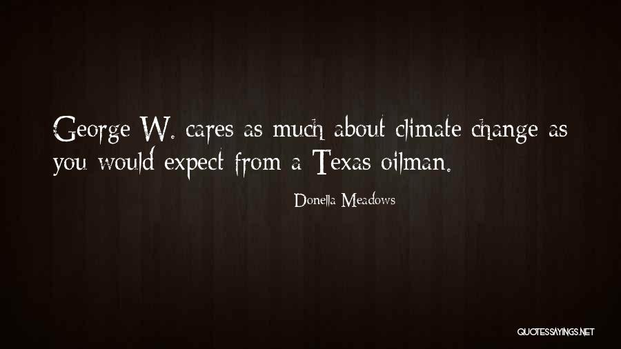 Yair Quotes By Donella Meadows Yair Quotes By Donella Meadows