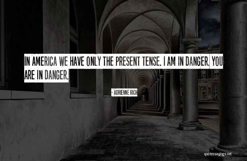 Yakay Airlines Quotes By Adrienne Rich Yakay Airlines Quotes By Adrienne Rich
