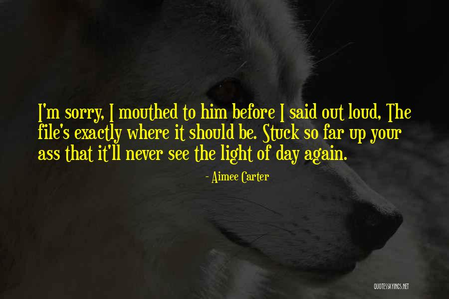 Yakinori Tokusen Quotes By Aimee Carter Yakinori Tokusen Quotes By Aimee Carter
