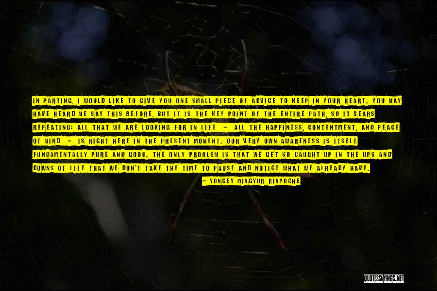 Yakumo Kagune Quotes By Yongey Mingyur Rinpoche Yakumo Kagune Quotes By Yongey Mingyur Rinpoche