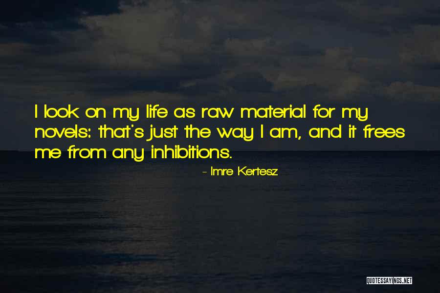 Yale Its Org Quotes By Imre Kertesz Yale Its Org Quotes By Imre Kertesz