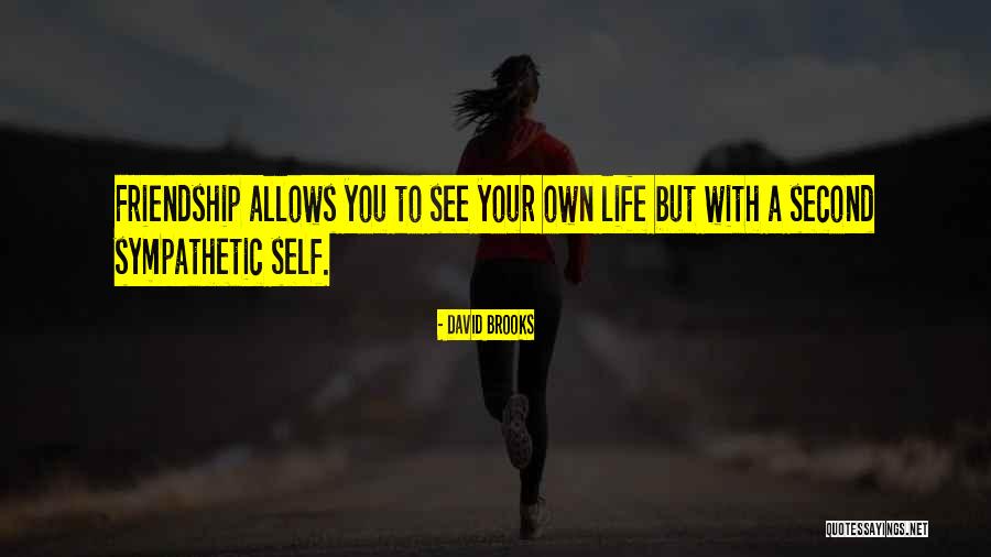 Yallarenuts Quotes By David Brooks Yallarenuts Quotes By David Brooks
