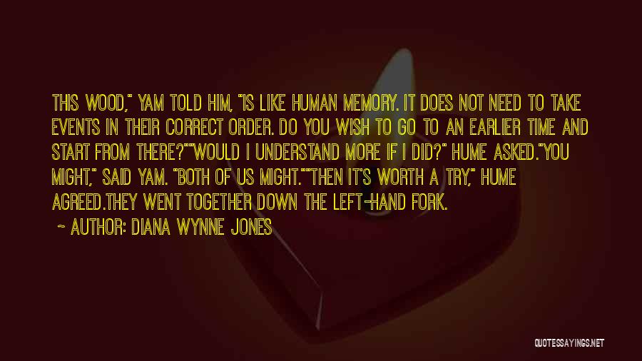 Yam Yam Quotes By Diana Wynne Jones