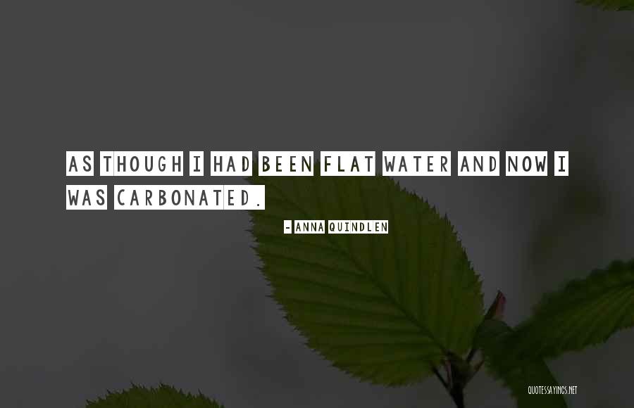 Yamali Cham Quotes By Anna Quindlen Yamali Cham Quotes By Anna Quindlen
