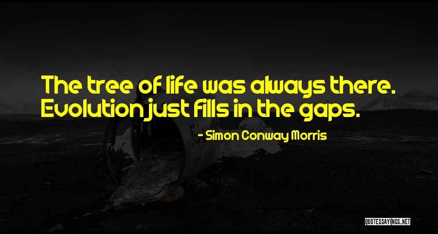 Yamantaka Quotes By Simon Conway Morris Yamantaka Quotes By Simon Conway Morris