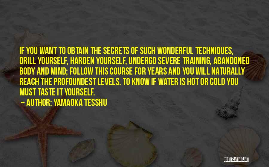 Yamaoka Tesshu Quotes 197402