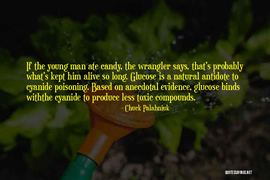 Yamashita Park Quotes By Chuck Palahniuk Yamashita Park Quotes By Chuck Palahniuk