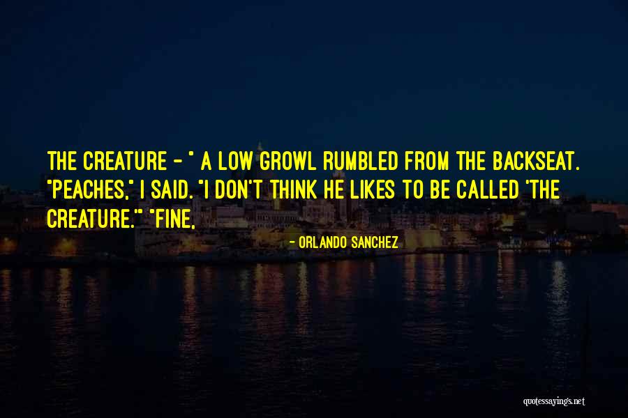 Yamoussa Camara Quotes By Orlando Sanchez Yamoussa Camara Quotes By Orlando Sanchez