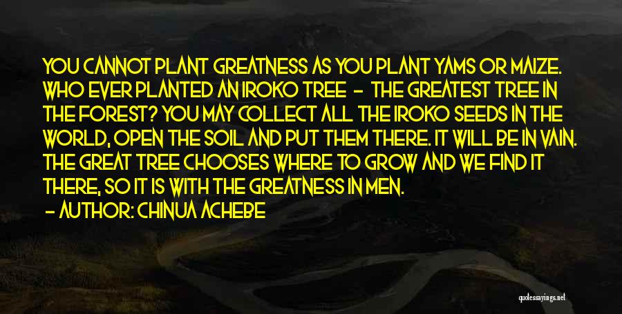 Yams Quotes By Chinua Achebe