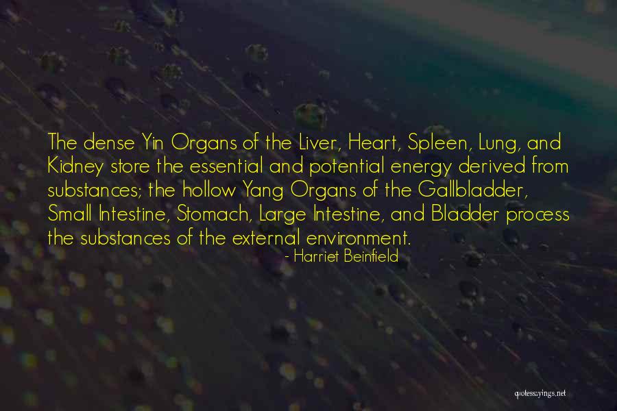 Yang And Yin Quotes By Harriet Beinfield Yang And Yin Quotes By Harriet Beinfield