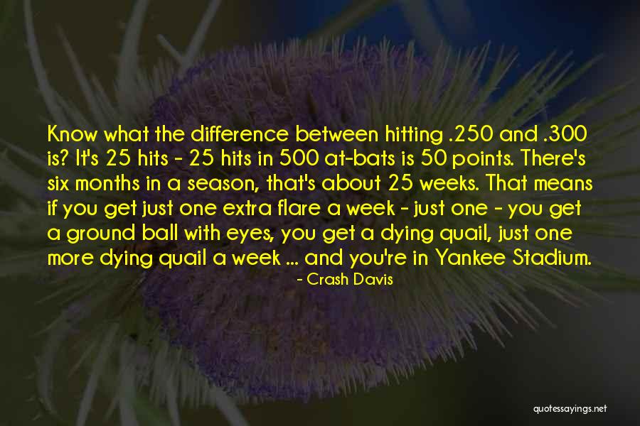 Yankee Quotes By Crash Davis