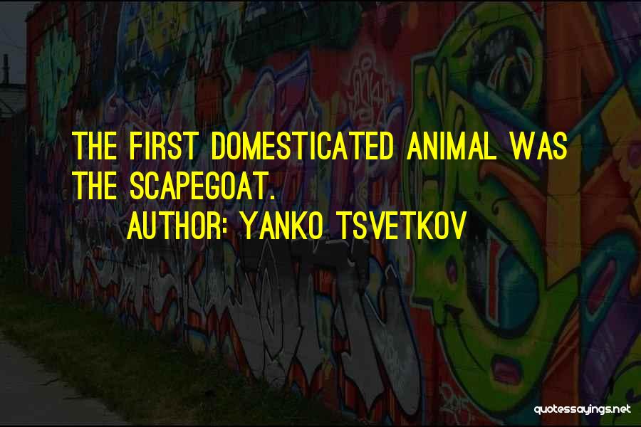 Yanko Tsvetkov Quotes 1041141