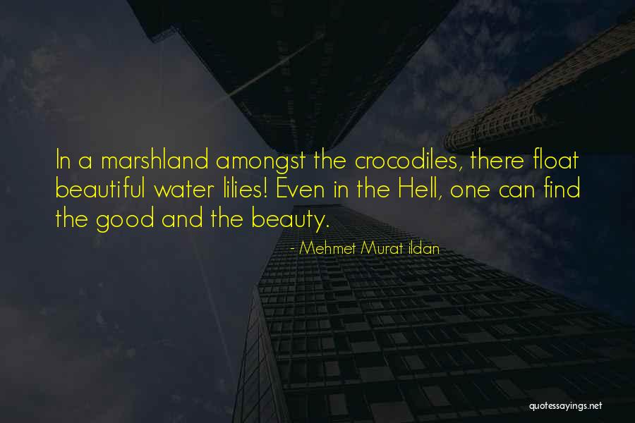 Yankovic Eat Quotes By Mehmet Murat Ildan Yankovic Eat Quotes By Mehmet Murat Ildan