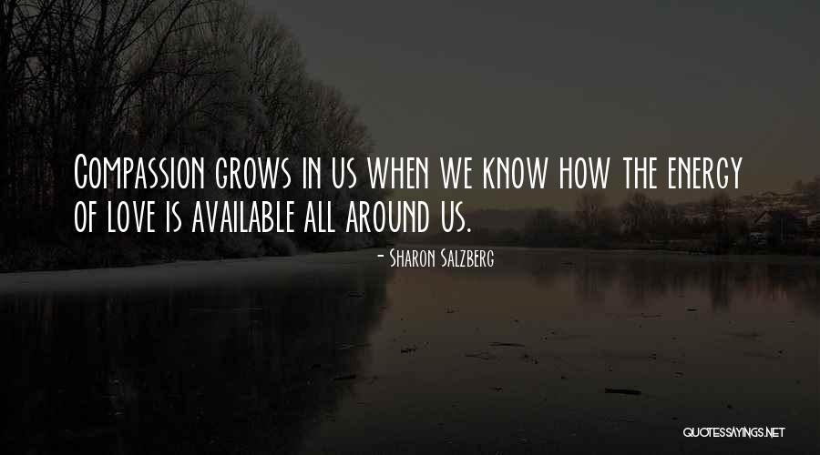 Yankwitt White Plains Quotes By Sharon Salzberg