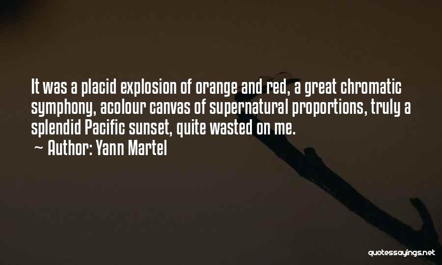 Yann Martel Quotes 105403