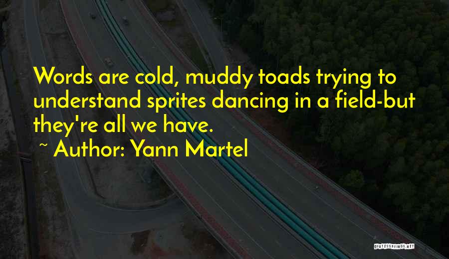 Yann Martel Quotes 1764676