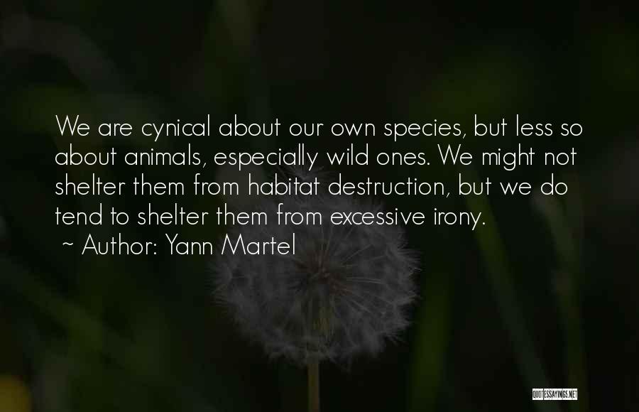 Yann Martel Quotes 978435