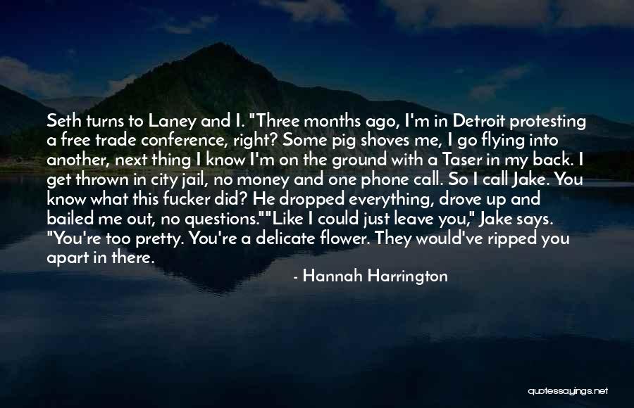 Yanqui Quotes By Hannah Harrington Yanqui Quotes By Hannah Harrington
