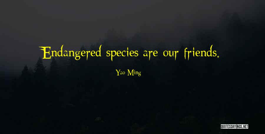 Yao Ming Quotes 219594 Yao Ming Quotes 219594