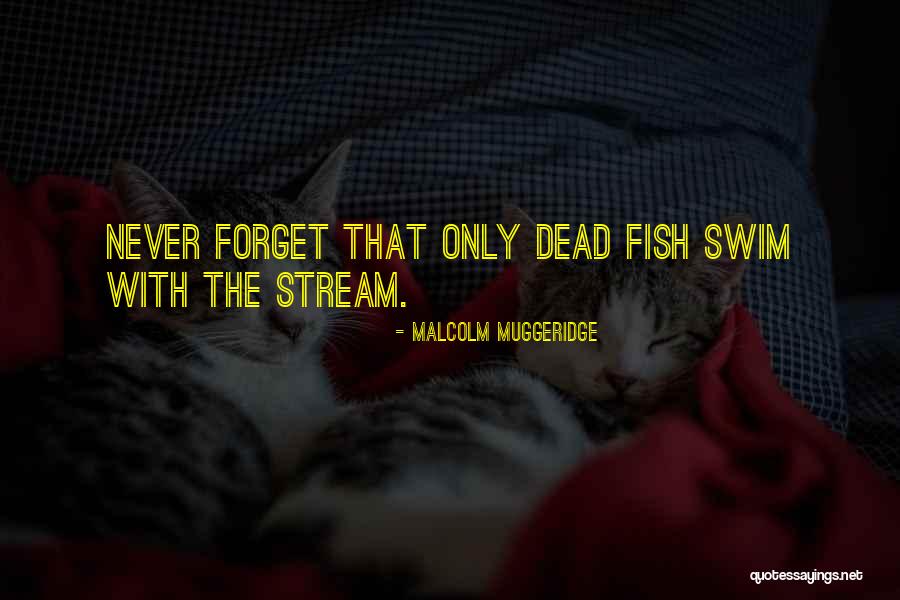 Yapand Quotes By Malcolm Muggeridge Yapand Quotes By Malcolm Muggeridge
