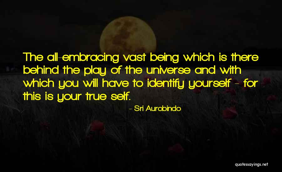 Yaptracke Quotes By Sri Aurobindo Yaptracke Quotes By Sri Aurobindo