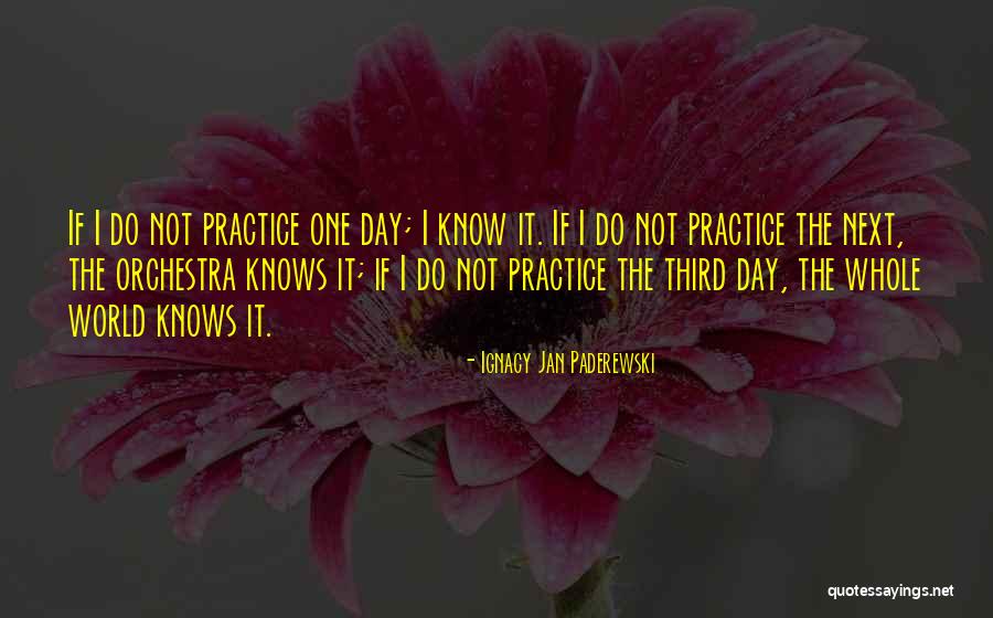 Yarba Linda Quotes By Ignacy Jan Paderewski Yarba Linda Quotes By Ignacy Jan Paderewski