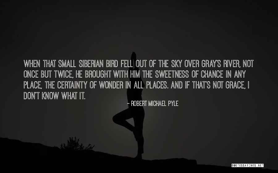 Yarek Ambrosia Quotes By Robert Michael Pyle Yarek Ambrosia Quotes By Robert Michael Pyle