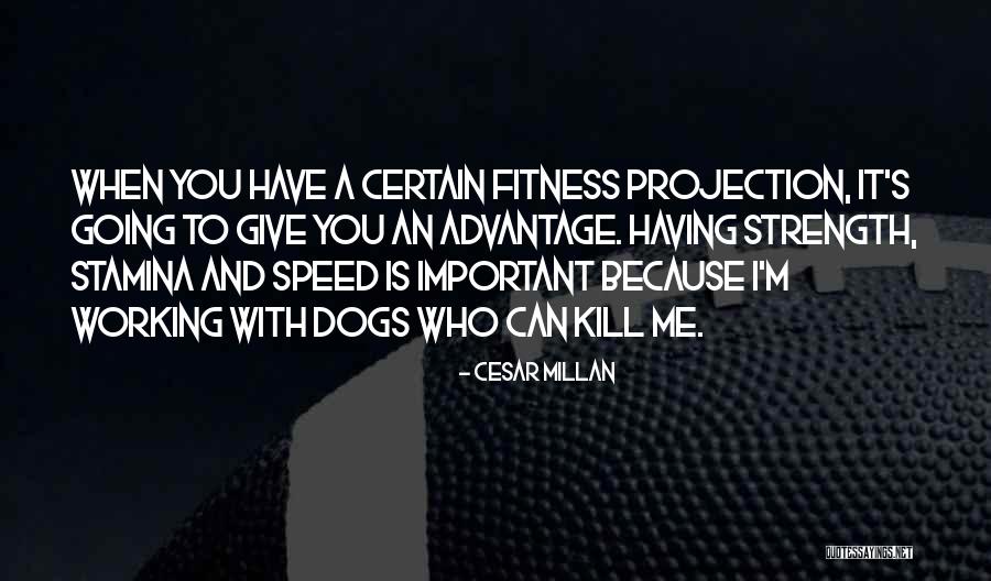 Yarida Mendez Quotes By Cesar Millan Yarida Mendez Quotes By Cesar Millan
