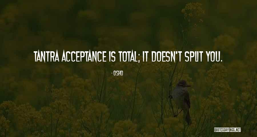 Yarka St Quotes By Osho Yarka St Quotes By Osho