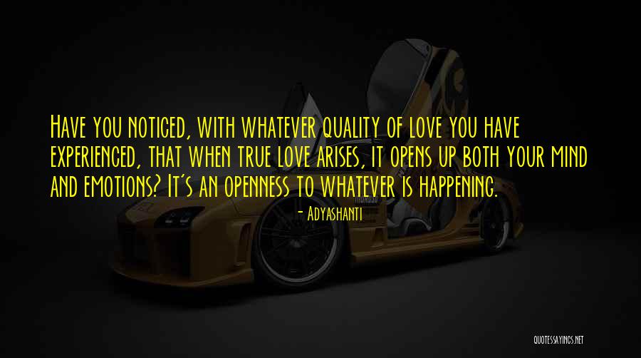 Yarmak Co Quotes By Adyashanti Yarmak Co Quotes By Adyashanti