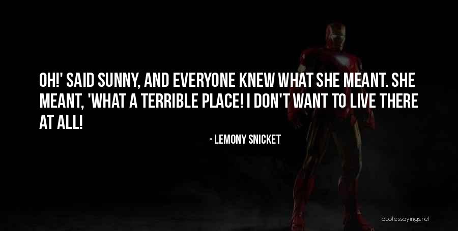 Yasamin Beitollahi Quotes By Lemony Snicket Yasamin Beitollahi Quotes By Lemony Snicket