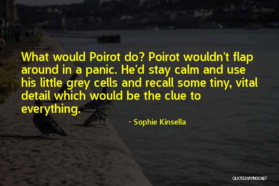 Yasemin Ozer Quotes By Sophie Kinsella Yasemin Ozer Quotes By Sophie Kinsella