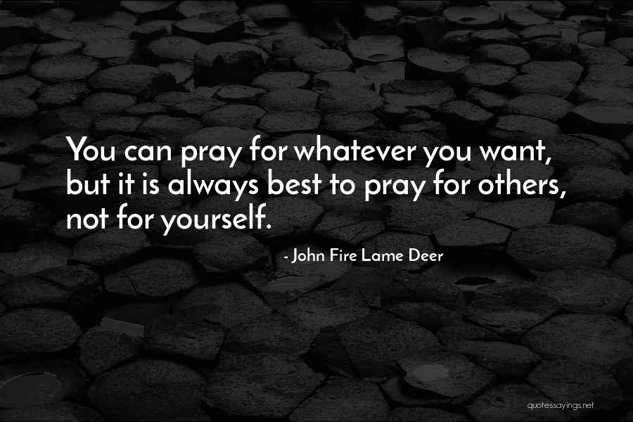 Yashima Sekirei Quotes By John Fire Lame Deer Yashima Sekirei Quotes By John Fire Lame Deer