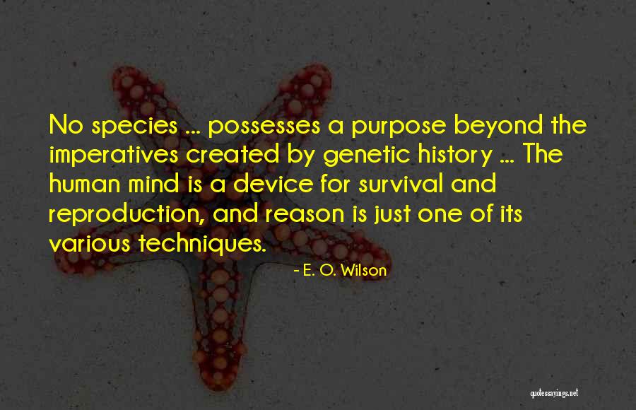 Yashish Dahiya Quotes By E. O. Wilson Yashish Dahiya Quotes By E. O. Wilson