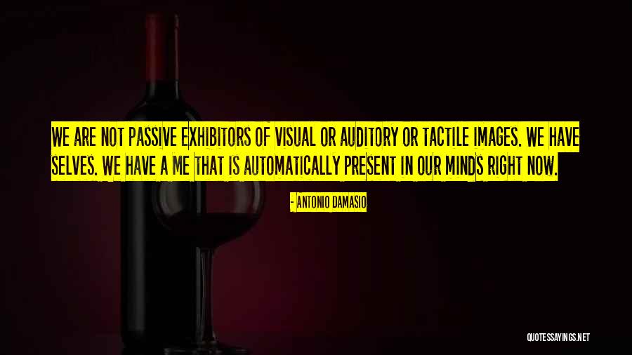 Yasmim Reis Quotes By Antonio Damasio Yasmim Reis Quotes By Antonio Damasio
