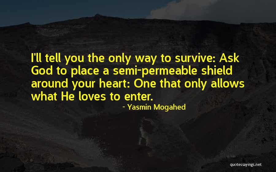 Yasmin Mogahed Quotes 1561861