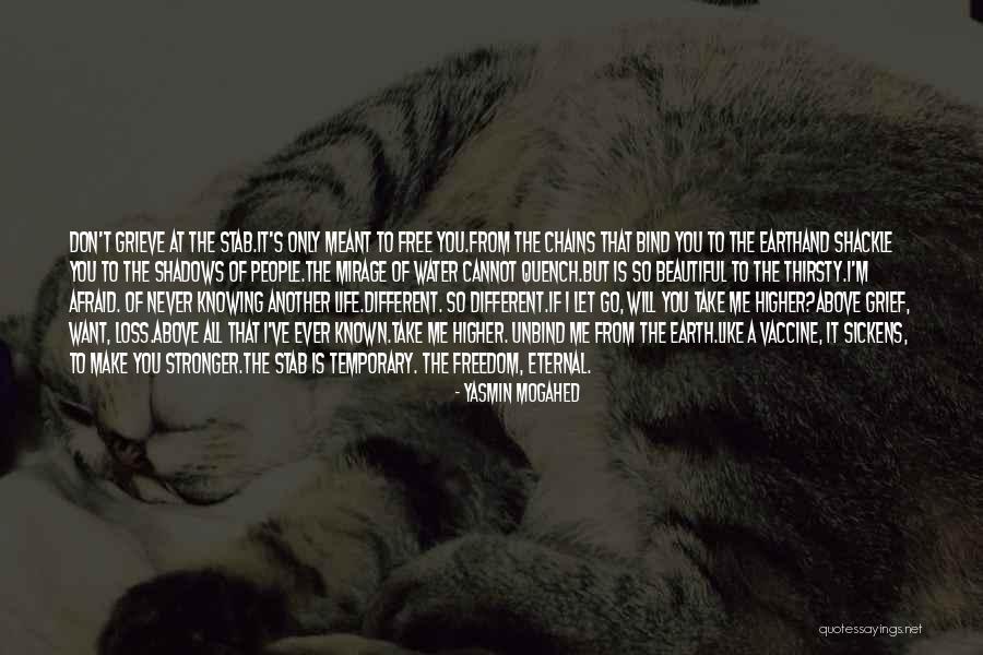 Yasmin Mogahed Quotes 802290 Yasmin Mogahed Quotes 802290