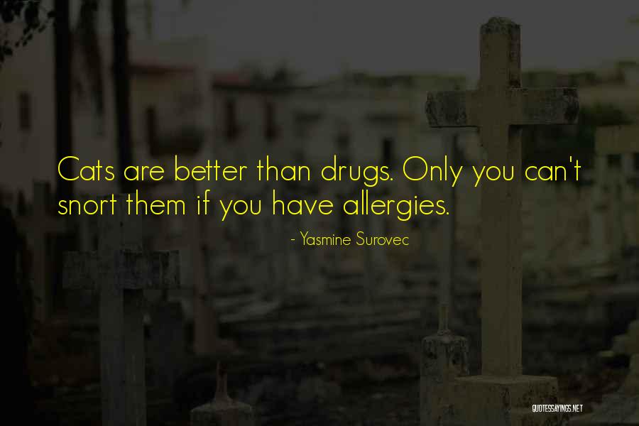 Yasmine Surovec Quotes 1299626 Yasmine Surovec Quotes 1299626