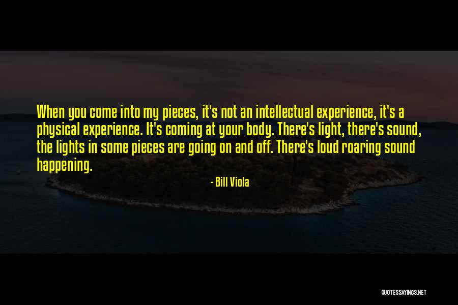 Yasni Polska Quotes By Bill Viola Yasni Polska Quotes By Bill Viola