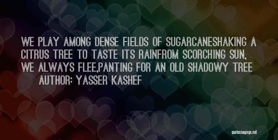 Yasser Kashef Quotes 1437841