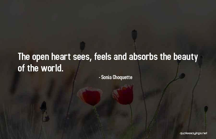 Yasuharu Oyama Quotes By Sonia Choquette